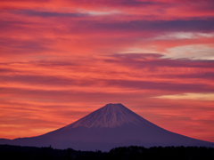 朝焼けに染まる富士