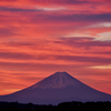 朝焼けに染まる富士