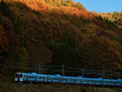 夕陽と紅葉と鈍行列車