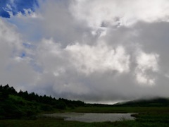 連作　八島湿原　湿原の朝＊１