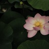 静寂