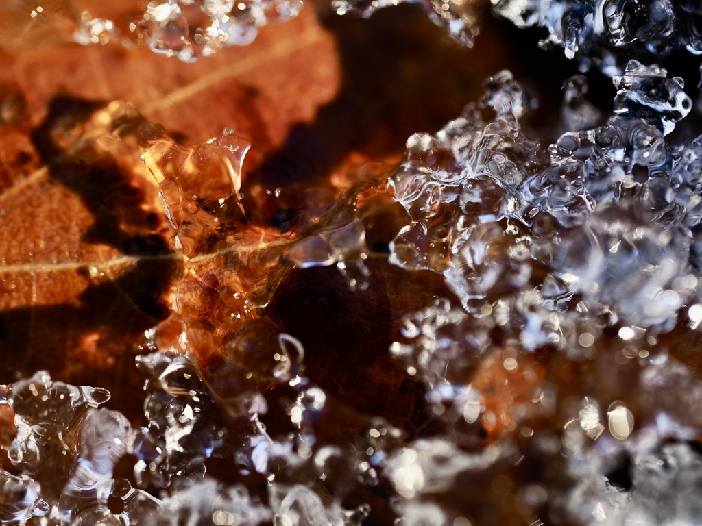 氷から水、そして落ち葉へ