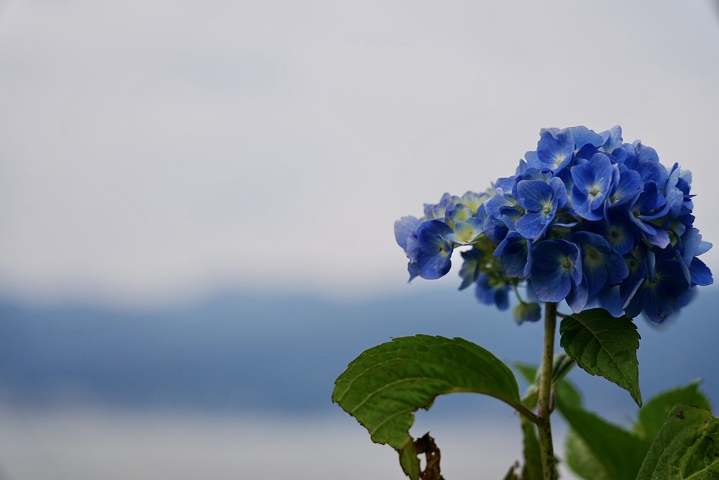 君は何を想う？