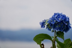 君は何を想う？