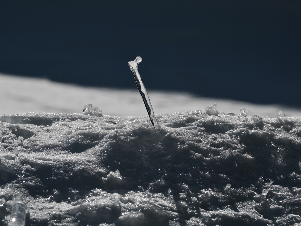 冬の自然に魅せられて＊12    ~ある雪原での風景~