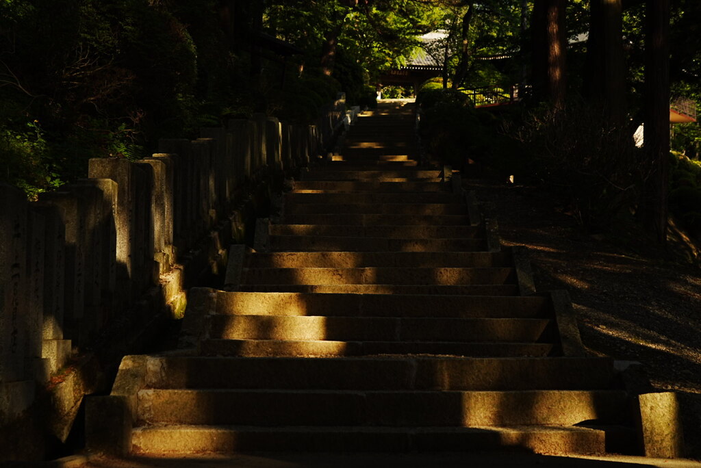 夕暮れの参道