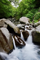 岩と水、そして緑