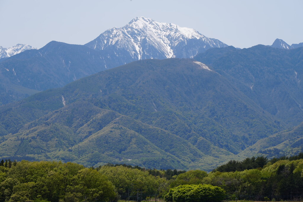 新緑を臨む甲斐駒ヶ岳