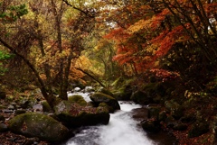 秋の川俣川渓谷