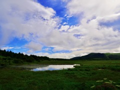 連作　八島湿原　湿原の朝＊９