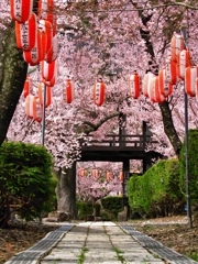 山寺の春