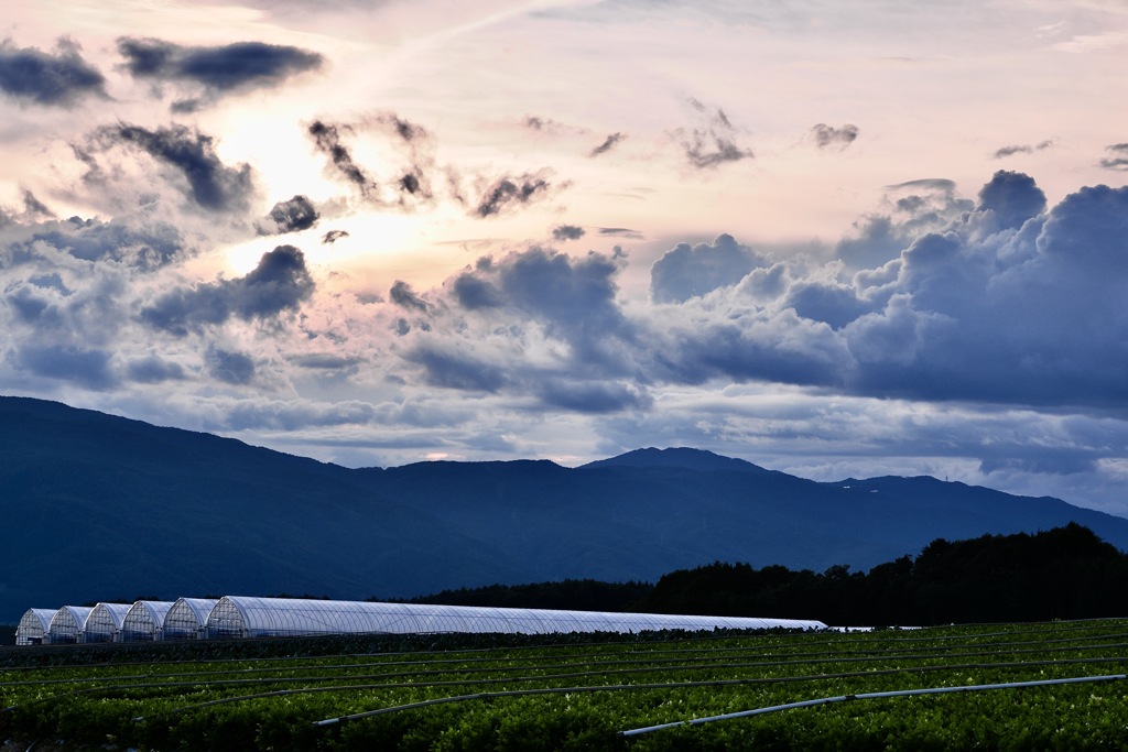 ある夕暮れ時の風景