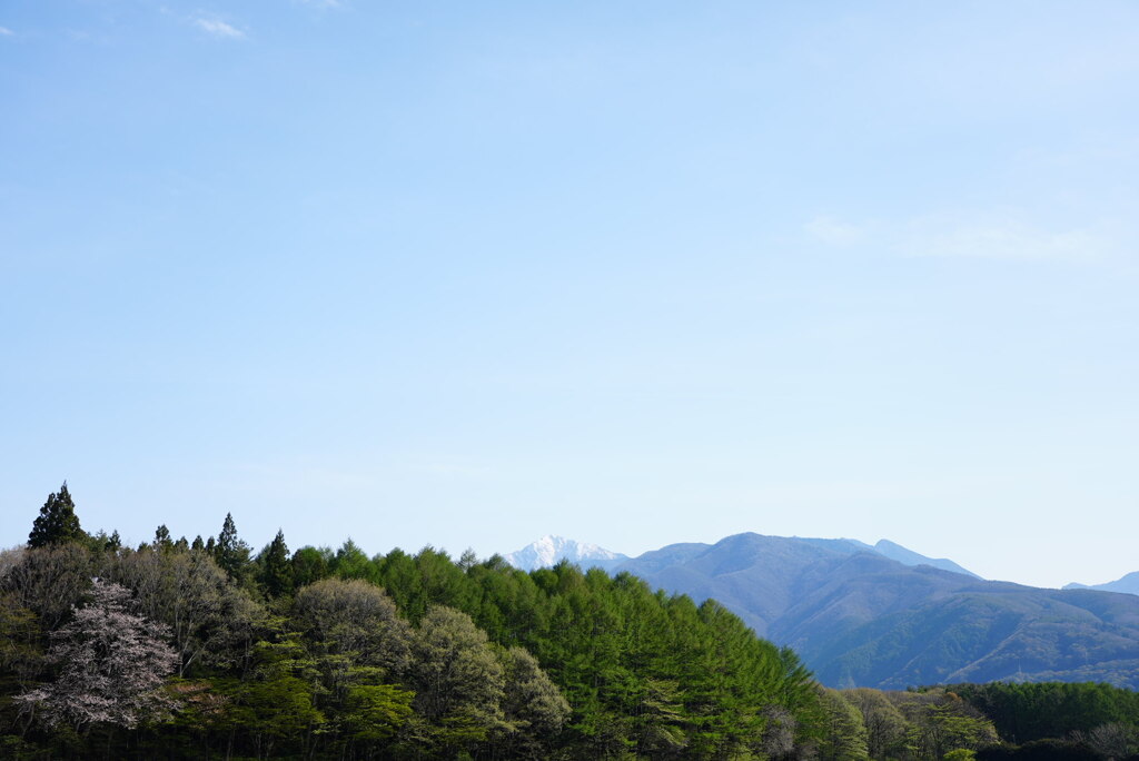 春の山里から望む甲斐駒ヶ岳