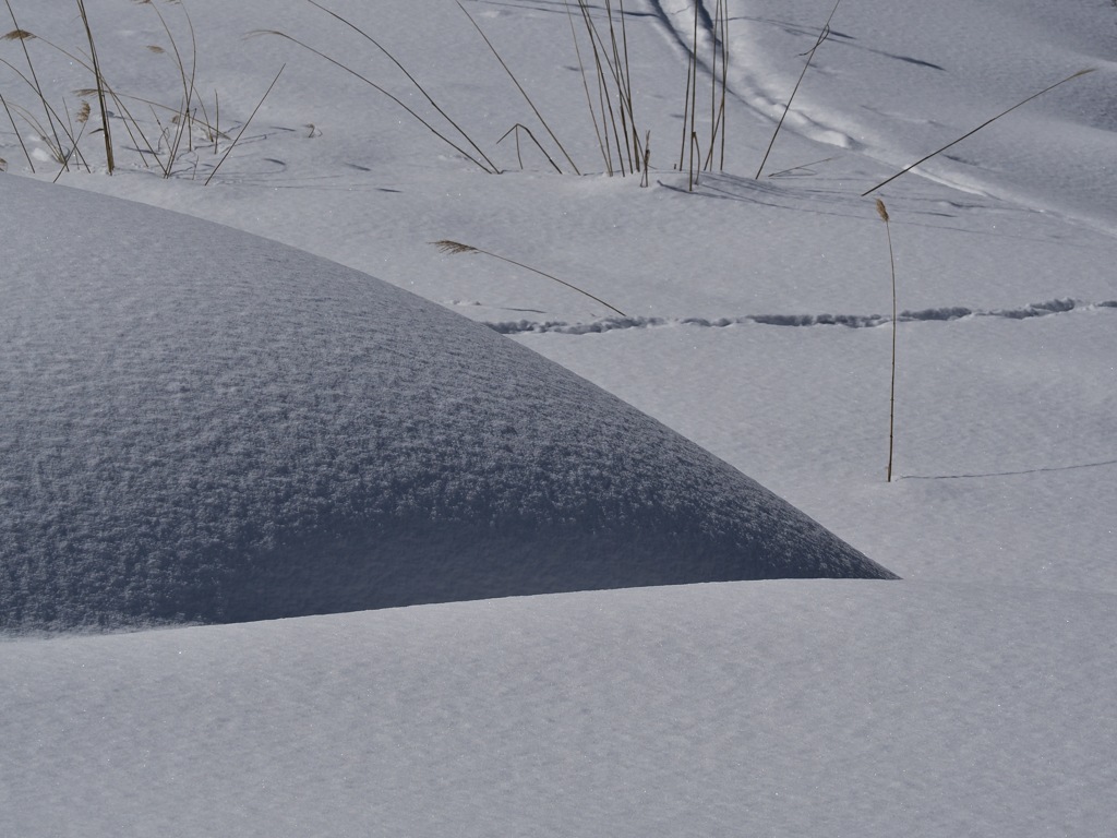 雪原の曲線と直線（そして....   ギザギザ）