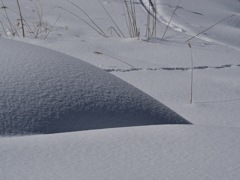 雪原の曲線と直線（そして....   ギザギザ）