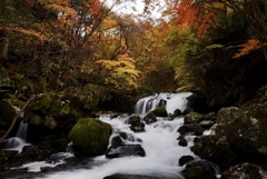 奥蓼科の秋（2021）；　紅葉の滝の湯川と蓼科大滝