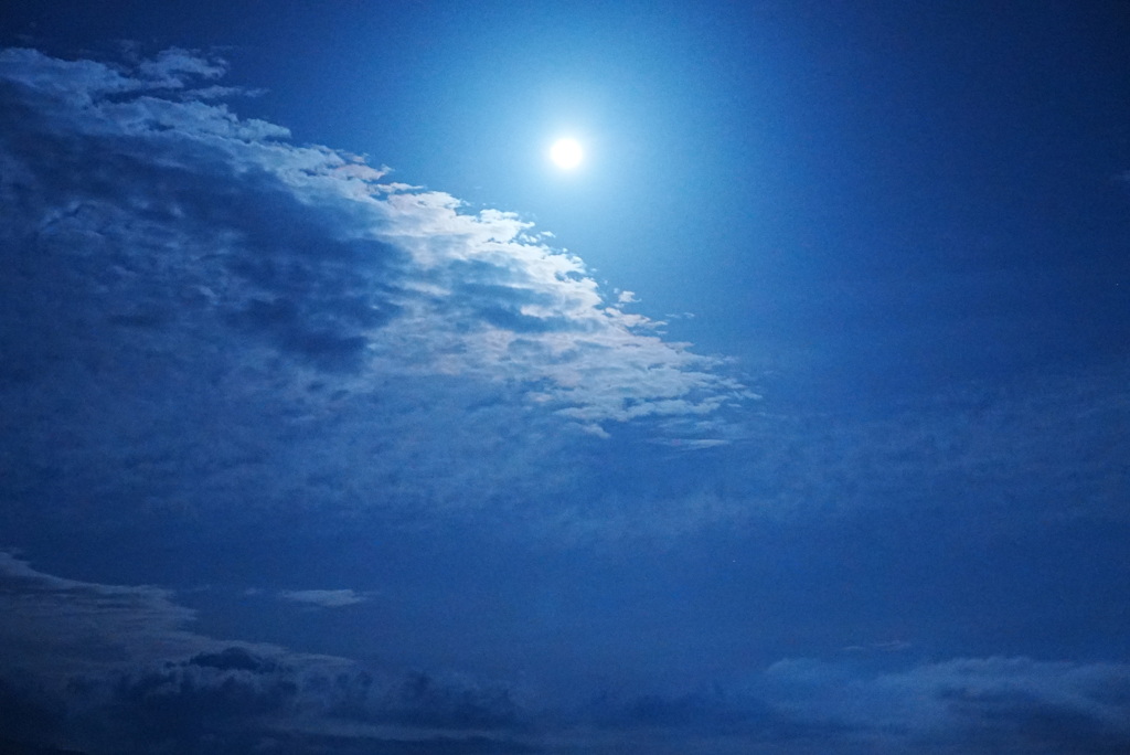 満月の夜