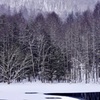 冬の到来＊２