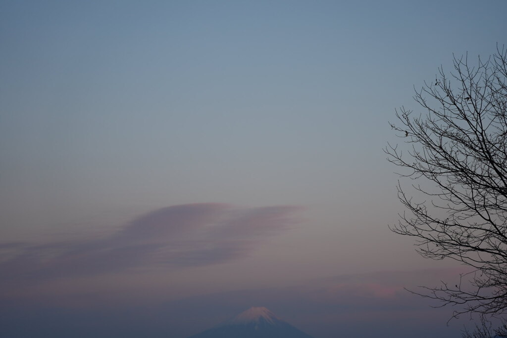 夕暮れの富士を遠方に望む