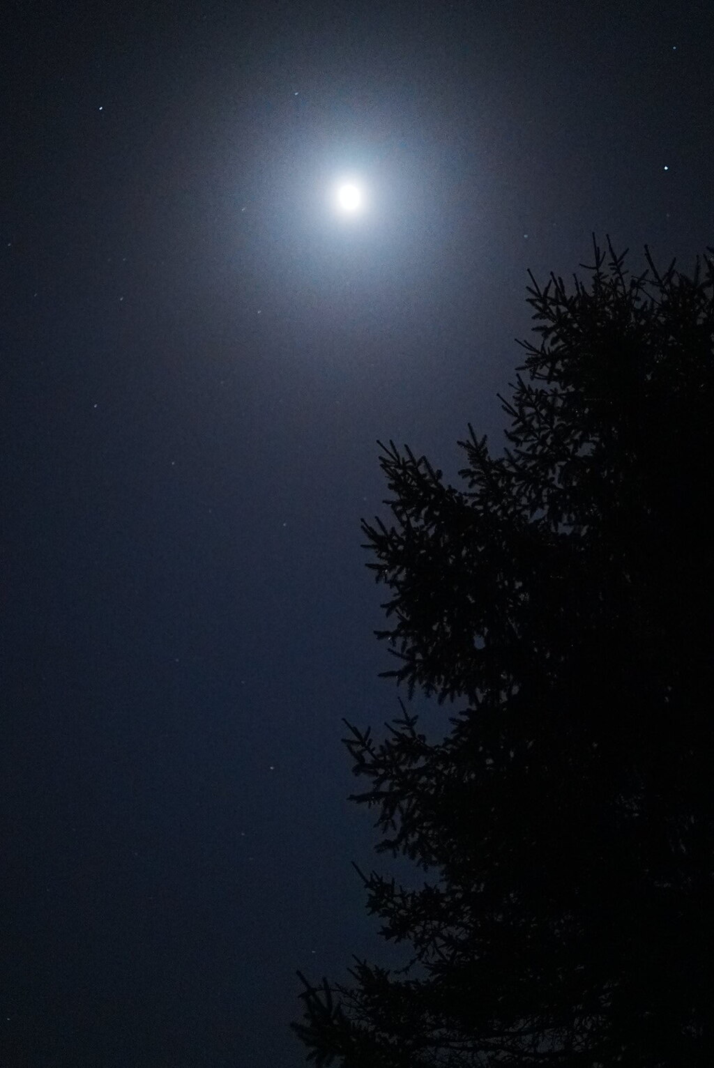 八ヶ岳高原の夜：月光