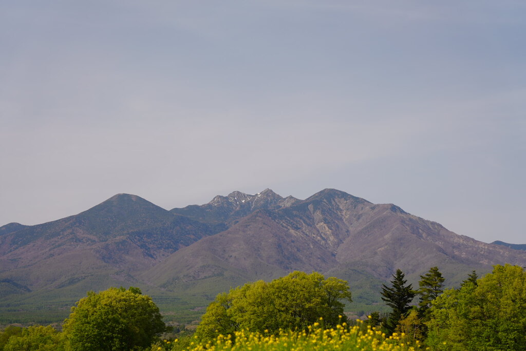 八ヶ岳の春（南八ヶ岳）