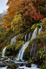 秋の装い　「吐竜の滝」