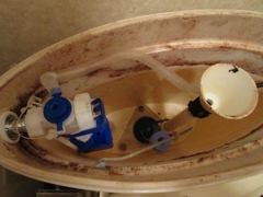 コーチャーＫＯＨＬＥＲトイレ　IMG_5551
