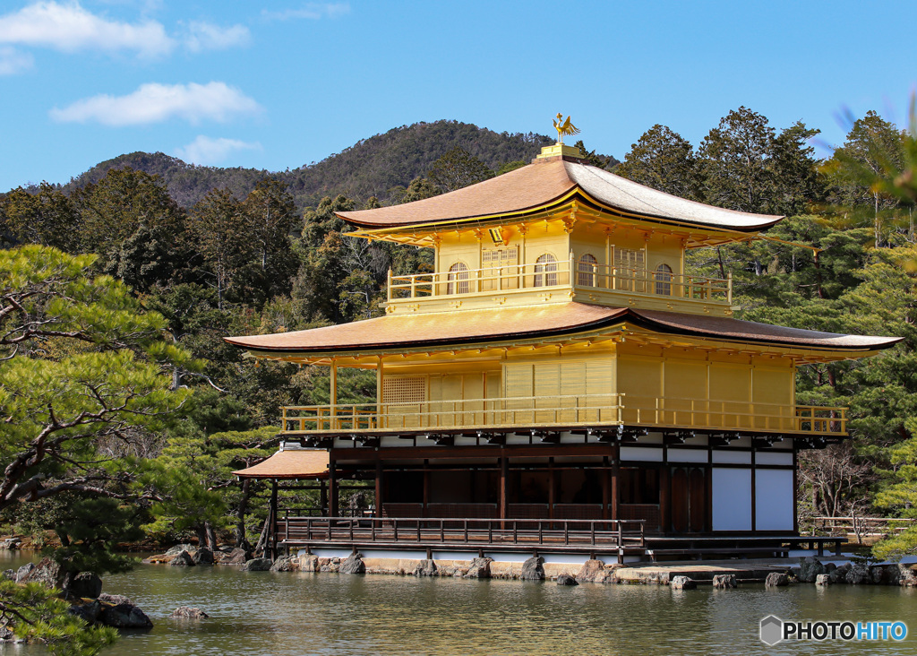 久しぶりの金閣寺