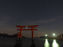 夜景