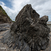 turbidite(タービダイト)