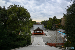 鶴岡八幡宮からの眺め