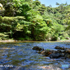 源河川の水面（ミナモ）と石遊び