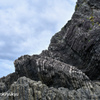 Turbidite