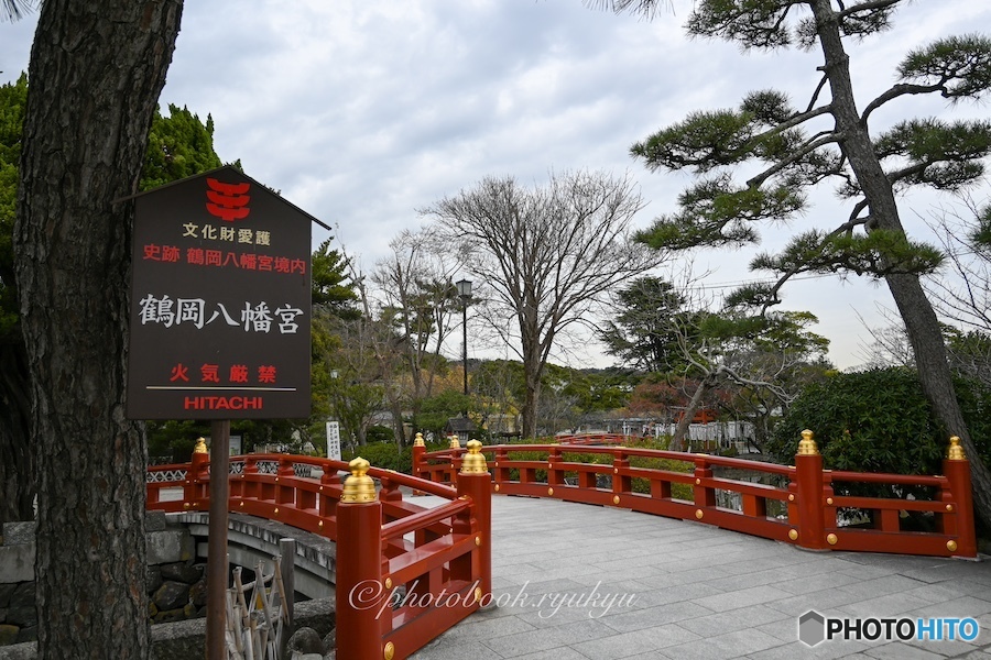 鶴岡八幡宮