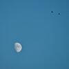 Fly me to the moon