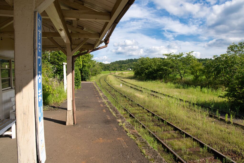 列車と夏を待つホーム