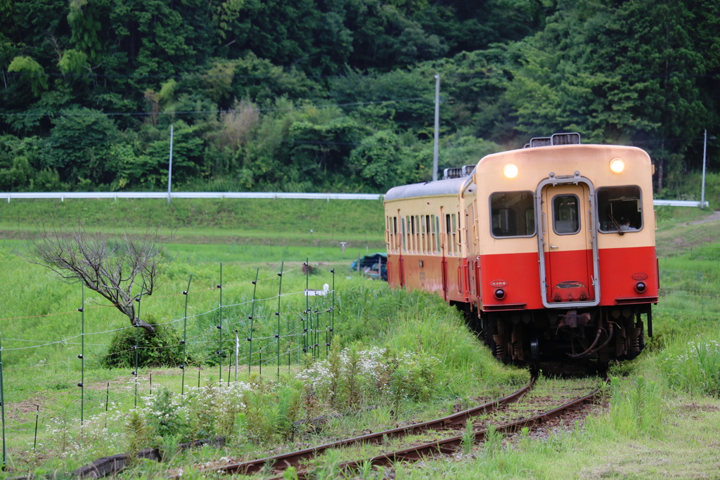 上総大久保手前カーブ