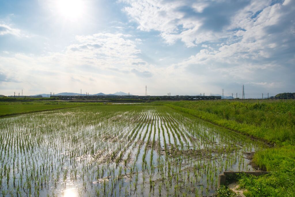 恋瀬川広角