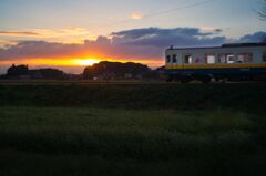 蕎麦の花畑の夕暮れ