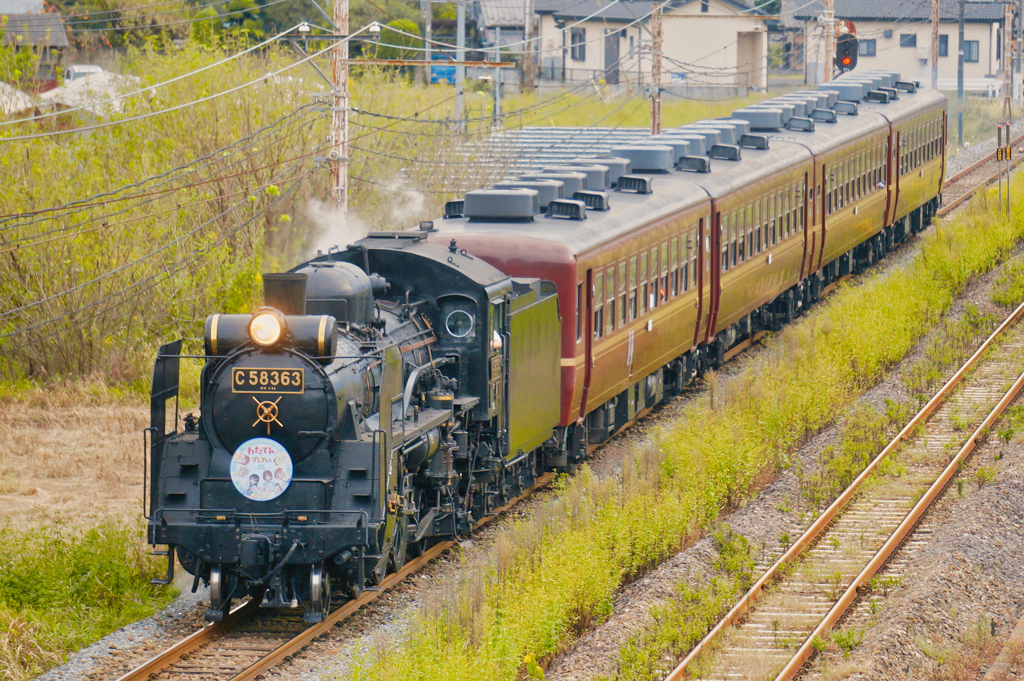 初めてのSLパレオエクスプレス