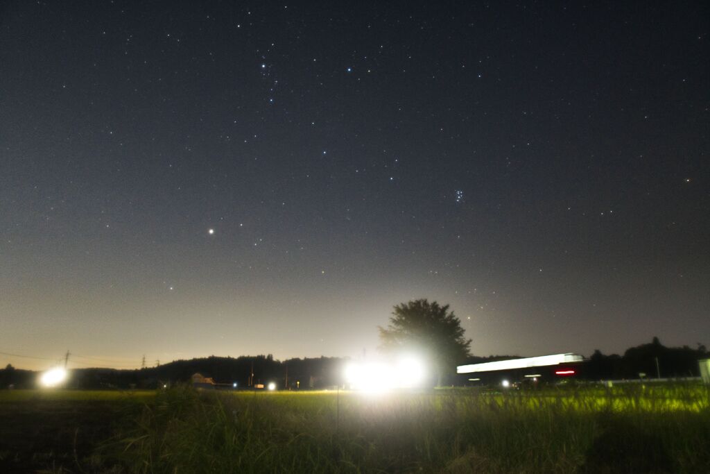 大銀杏のある駅の星空