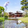平等院〜春色〜