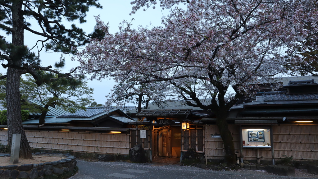 渡月橋の桜2021その3