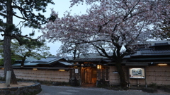 渡月橋の桜2021その3