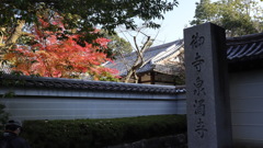 紅葉2021泉涌寺その1