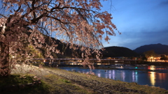 渡月橋の桜2021その5