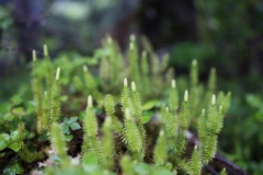 on the way to takamiishi hutte