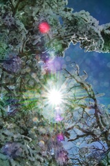 mt.kitayokodake at 10:23 Feb,21 2025