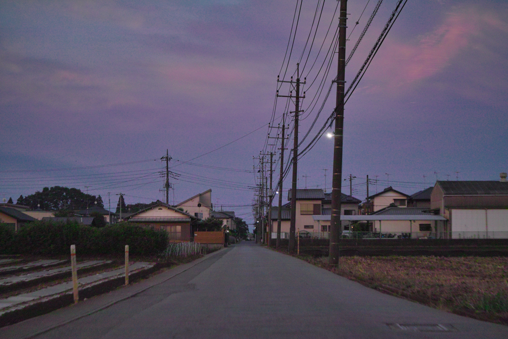 the road by industar 50-2 50mm f3.5