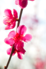 "baien" at 14:55 Feb,28 2026 in mt.t